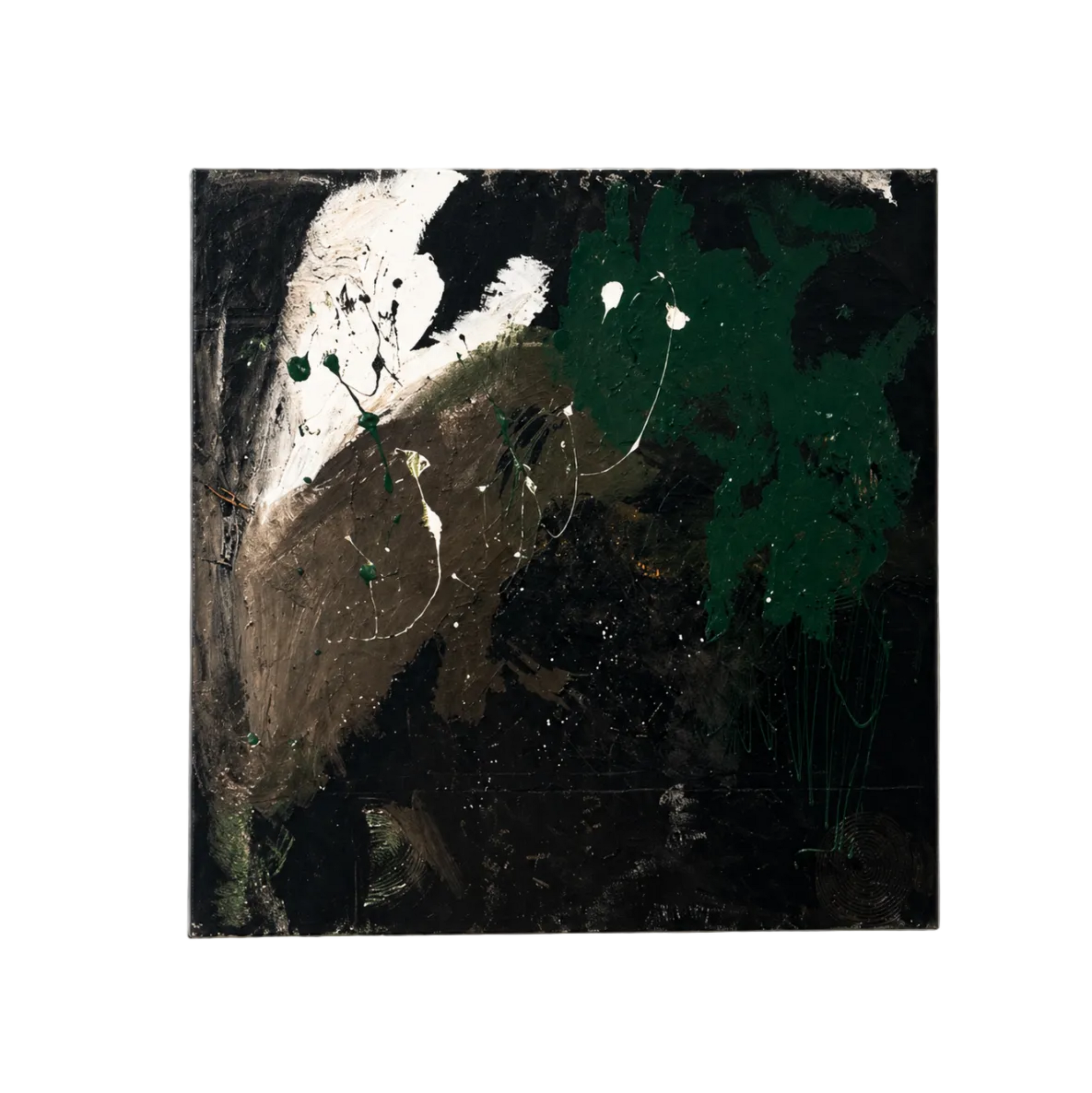 Forêt Nocturne :